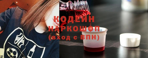 хмурый Горно-Алтайск